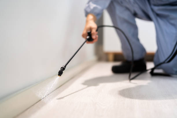 Licensed Termite Control service in Scotland County County, NC - Nex Pest Control
