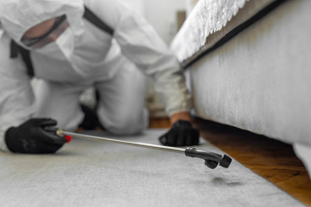Professional Termite Control technician working in Scotland County County, NC